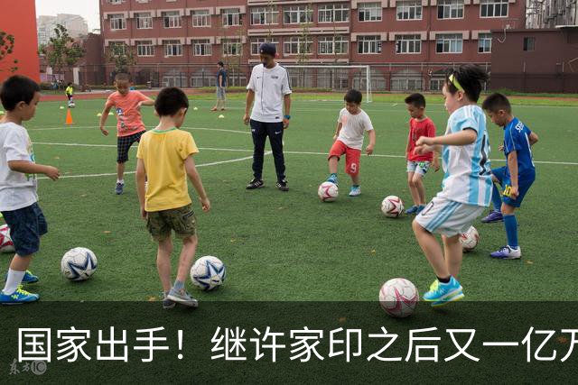 国家出手！继许家印之后又一亿万富豪落网，坑害百姓、恶行累累